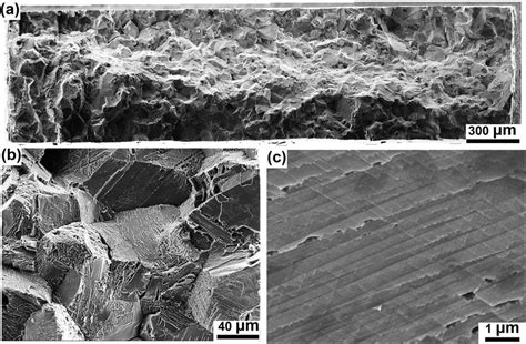 SEM Images Showing The Fracture Surface Of The Hydrogen Charged Alloy