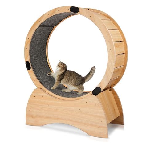 Foobrues Cat Exercise Wheel Running Spinning And Scratching Fun