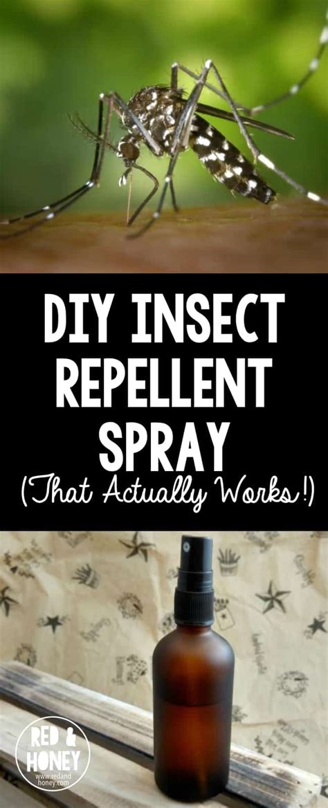 DIY Insect Repellent Spray with Essential Oils (That Actually Works!)