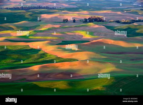 Palouse hills region hi-res stock photography and images - Alamy