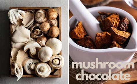 Brainful Benefits and Sweet Delights: The Must-Try Mushroom Chocolate ...