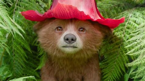 El Nuevo Tráiler De Paddington En Perú Muestra Al Bebé Paddington Y Es