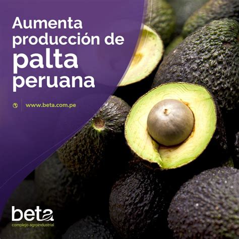 Aumenta Producci N De Palta Peruana Beta