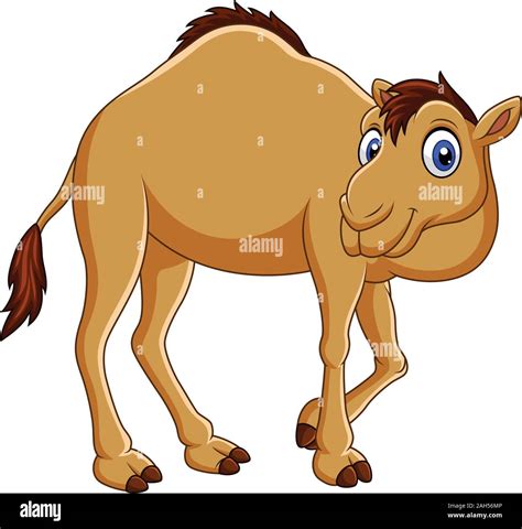 Cartoon Camel Isolated On White Background Stock Vector Image Art Alamy