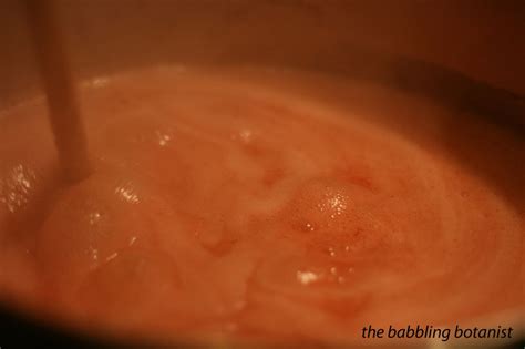 Strawberry Jam With Liquid Pectin The Babbling Botanist