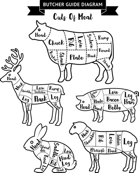 Butcher Guide Cuts Of Meat Diagram Vector Illustrations 2094596