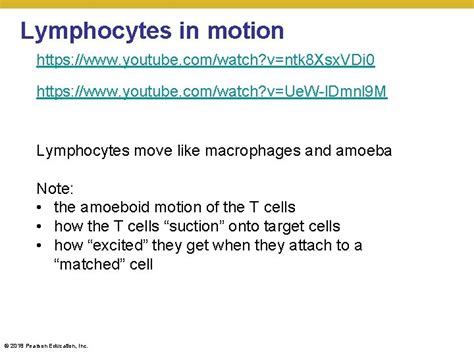 Microbiology Chapter 16 Adaptive Immunity 2018 Pearson Education