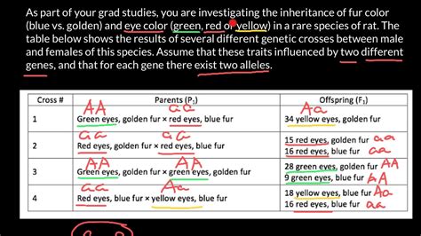 How To Solve Genotype Phenotype Crossing Problems Youtube