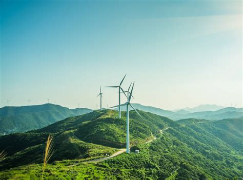 green finance paulson institute
