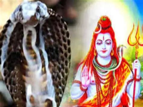 Nag Panchami Will Be Celebrated On August 21 With Pomp Across The