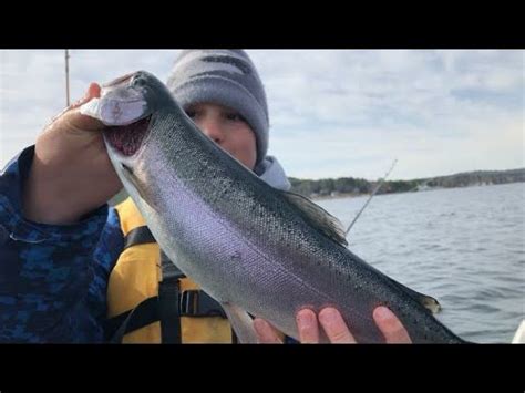 Salmon Rainbow Fishing Lake Winnipesaukee Youtube