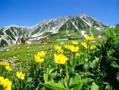 Les Alpes Japonaises à Toyama de l Alpine Route à Gokayama Japan