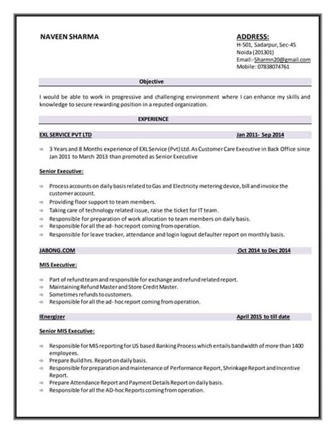 Resume For Mis Executive