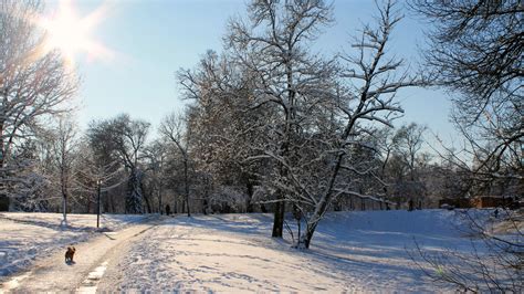 Winterwandeling - Sneeuwwandelingen en tips - Ardennen.nl