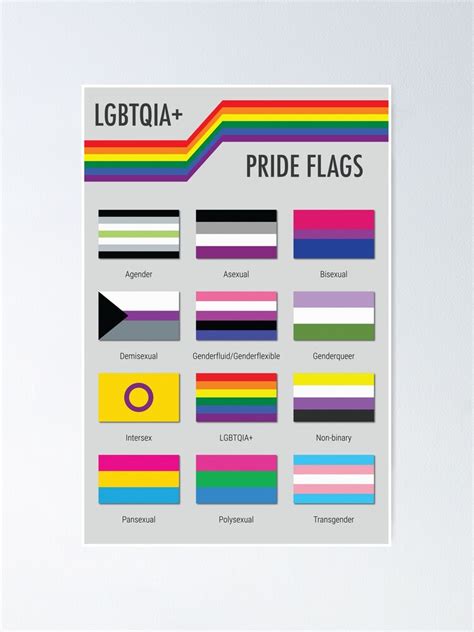 "LGBTQIA+ Pride Flags" Poster for Sale by babybigfoot | Redbubble