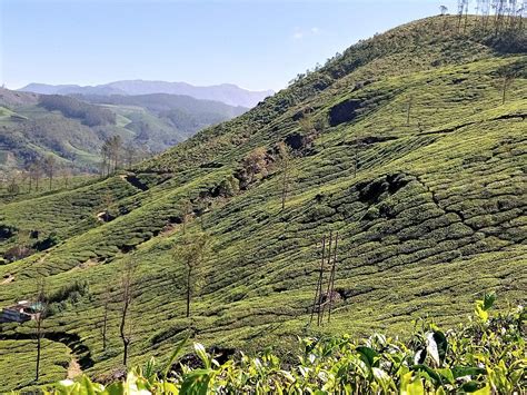 Munnar Trekking Adventure All You Need To Know Before You Go