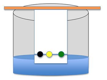 Paper Chromatography Lab by Ms Truax Chemistry | TpT