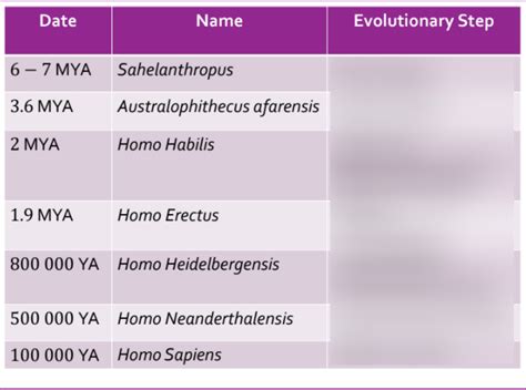 Evolution Review Diagram Quizlet