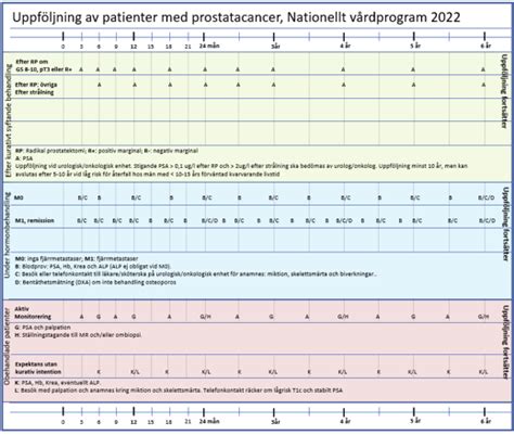 Uppf Ljning Av M N Med Prostatacancer Rcc Kunskapsbanken