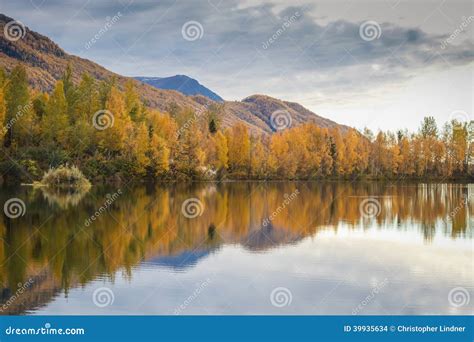 Alaskan Fall stock photo. Image of gates, autumn, landscape - 39935634