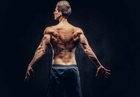 Back View Of Shirtless Man With Stylish Hair And Muscular Ectomorph