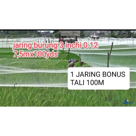 Jual Jaring Burung Sawah 7 5mx100yds Jaring Padi Jaring Burung Perkutut