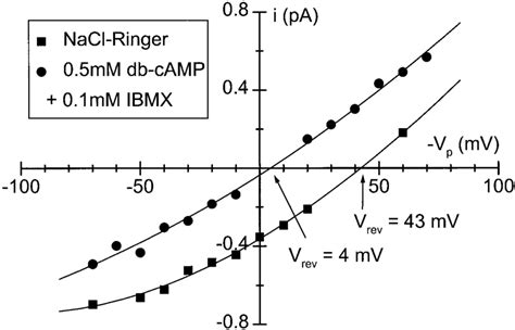 Current Voltage Relationship For A Small Cl Channel In A Cell Attached