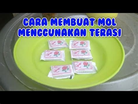 Cara Membuat MOL Mikro Organisme Lokal Dari Terasi YouTube