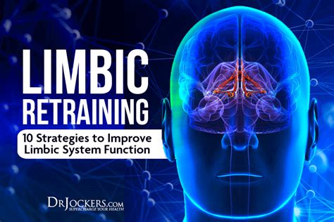 Limbic Retraining Strategies To Improve Limbic System Function Artofit