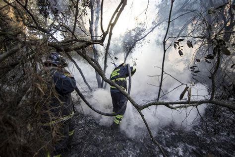 Incendi è allerta in Sardegna venerdì 3 agosto bollino arancione