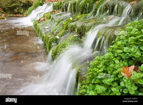 Moss Fall Hi Res Stock Photography And Images Alamy