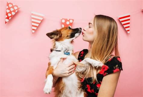 7 Ways To Throw Party For Your Pooch