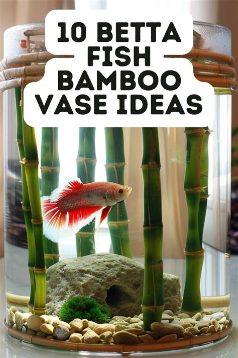 10 Betta Fish Bamboo Vase Ideas For Inspiration In 2024 Diy Fish