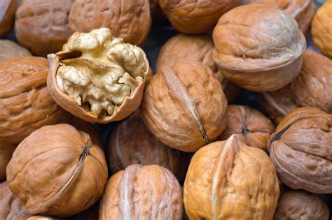 What Is The Serving Size For Hazelnuts Healthfully