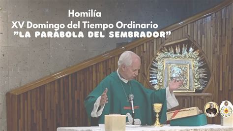 Homilía Domingo XV Tiempo Ordinario Ciclo A Rev Carlos Massieu YouTube