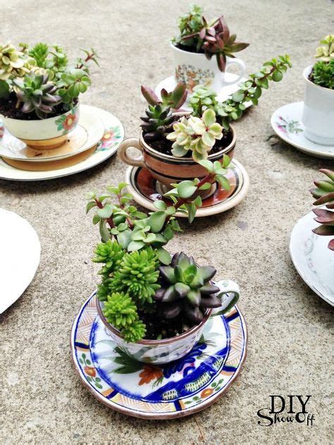 Tea Cup Succulent Planters Diy Show Off Diy Decorating And Home