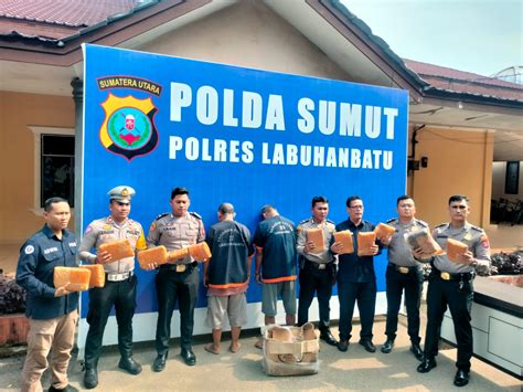 Polres Labuhanbatu Gagalkan Pengiriman Ganja Kg Antar Provinsi Bacaria