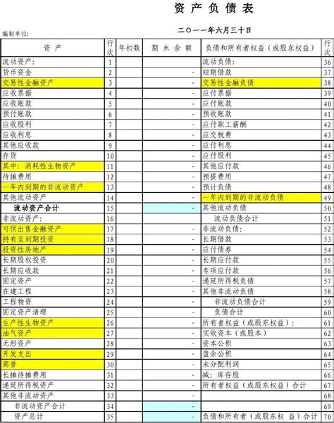 新企业会计准则下整套财务报表格式word文档在线阅读与下载无忧文档