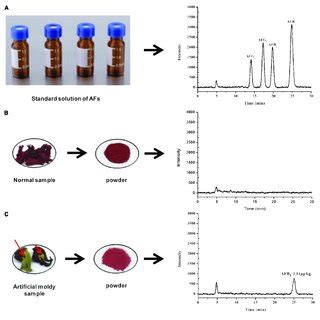 Typical Hplc Fld Chromatograms Of A Afs Standard Solution B