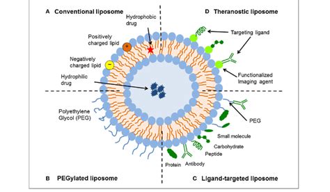 Schematic Representation Of The Different Types Of Liposomal Drug