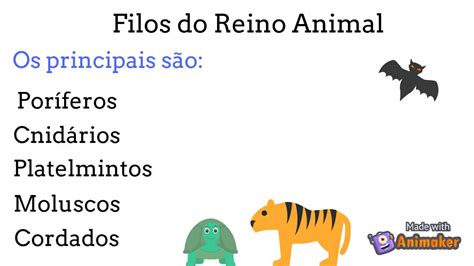 REINO ANIMAL PRINCIPAIS CARACTERÍSTICAS E FILOS YouTube