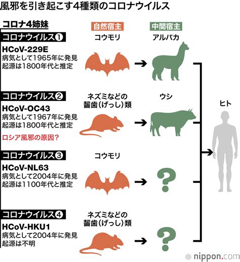 2章 新型コロナはどう広がったのか：（1）新型コロナの自然宿主しゅくしゅを追いかけて