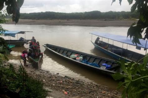 Temperatura En La Selva Sur Descenderá A 17° C Por Ingreso De