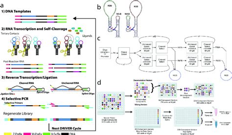 Driver Overview And Small Molecule Library Setup A Overview Of