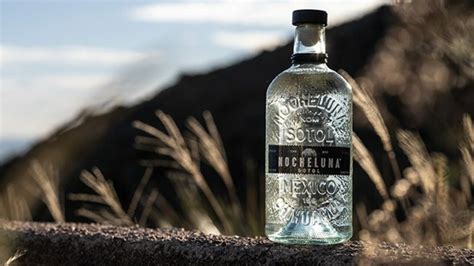 Sotol bebida mexicana con denominación de origen