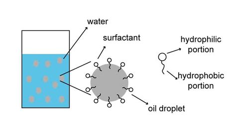 Overview Of Surfactants In Cosmetics Enrich Bodycare