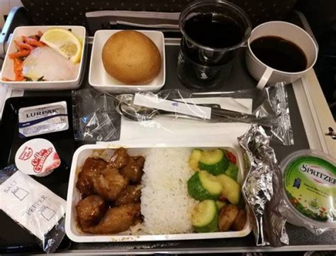 Economy Class Food Vs Business Class Food (38 pics)