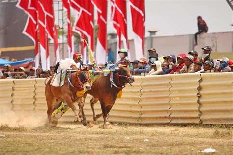 Karapan Sapi Piala Bupati Bangkalan Panitia Sediakan Motor Senilai