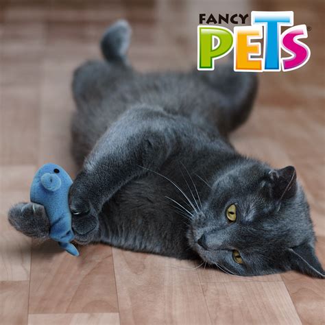 Juguete Pez Aletas Vibro Catch Fancy Pets Franz Haus