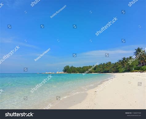 pulau pasir putih images stock   objects vectors